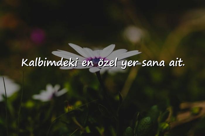 resimli sevgiliye anlamlı sözler - 3