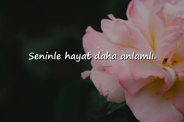 resimli sevgiliye aşk mesajları - 9