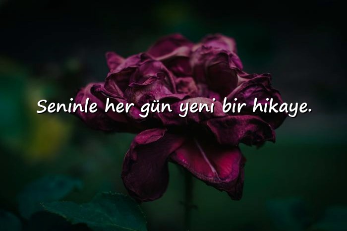 resimli sevgiliye aşk mesajları - 1