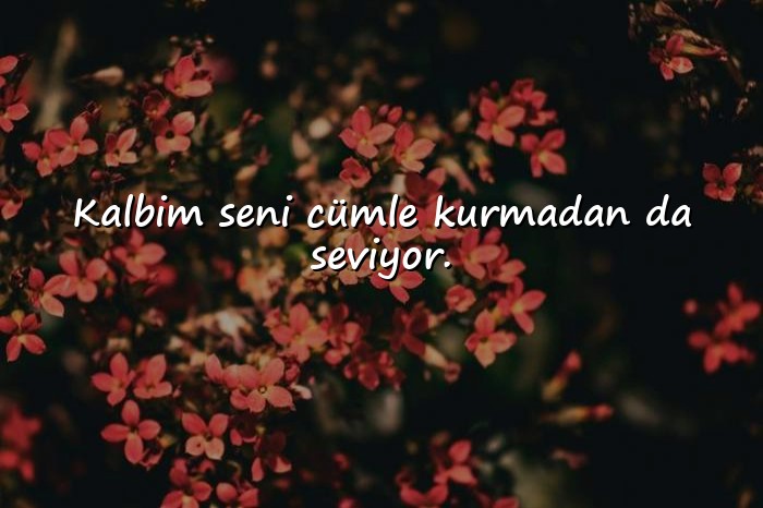 resimli sevgiliye aşk sözleri - 1