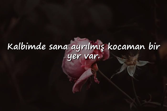 resimli sevgiliye aşk sözleri - 11