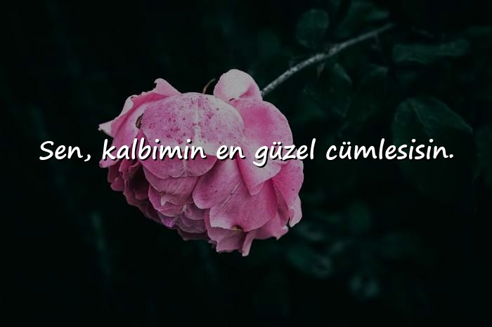 resimli sevgiliye aşk sözleri - 6