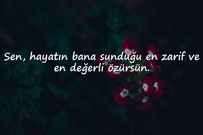 resimli sevgiliye etkileyici sözler - 3