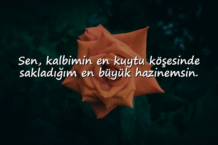 resimli sevgiliye etkileyici sözler - 18