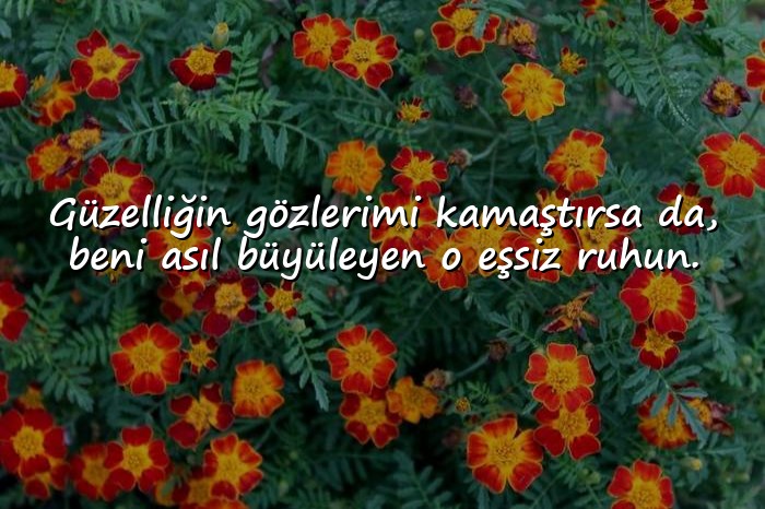 resimli sevgiliye etkileyici sözler - 8