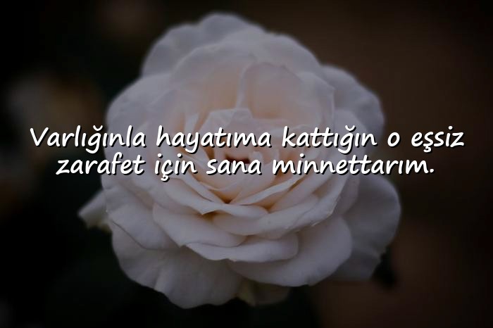 resimli sevgiliye etkileyici sözler - 1