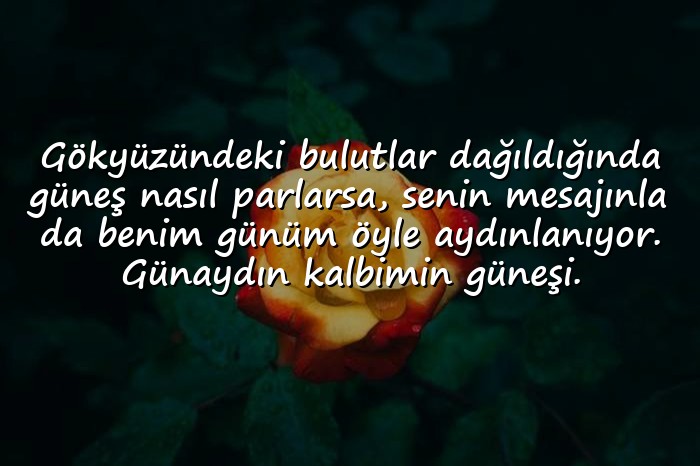 resimli sevgiliye günaydın mesajı - 11