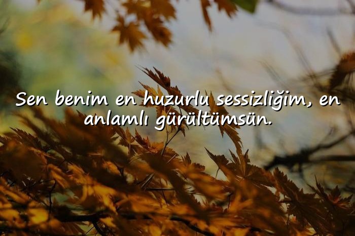 resimli sevgiliye güzel sözler - 2
