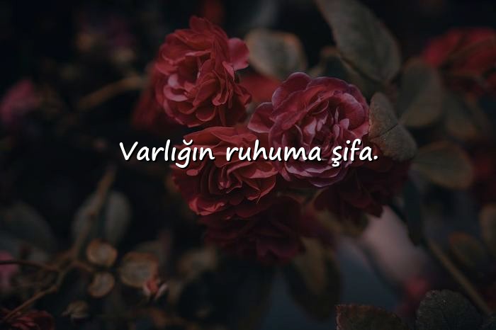 resimli sevgiliye güzel sözler kısa - 14