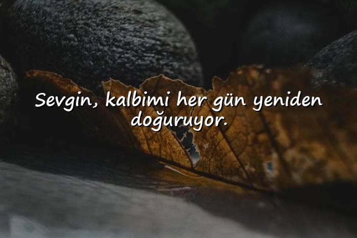 resimli sevgiliye iltifat sözleri - 19