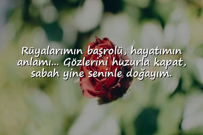 resimli sevgiliye iyi geceler mesajı - 1