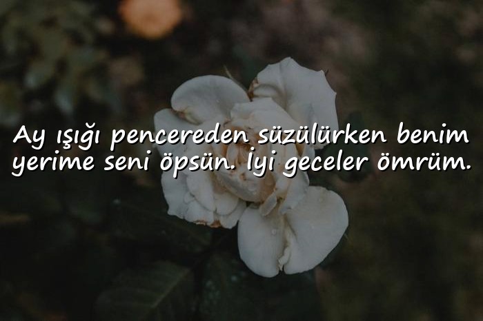 resimli sevgiliye iyi geceler mesajı - 21