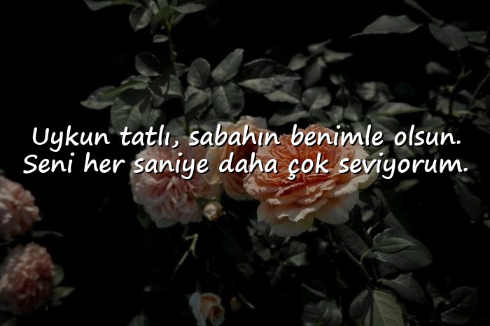 resimli sevgiliye iyi geceler mesajı - 11