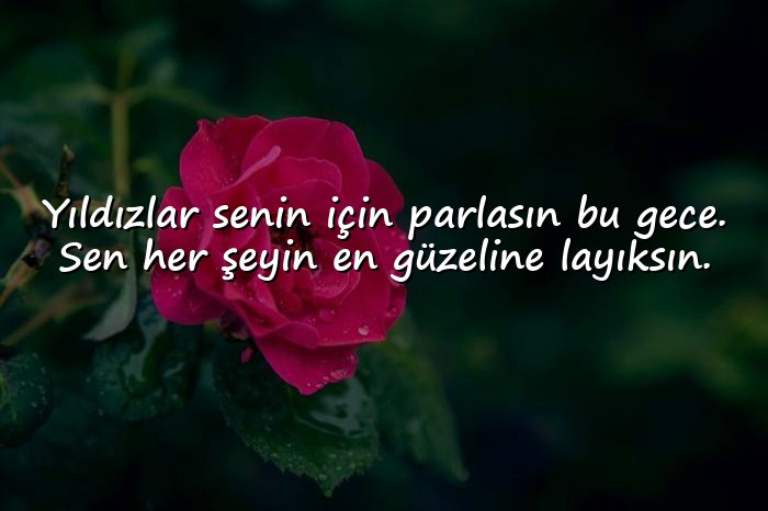 resimli sevgiliye iyi geceler mesajı - 6