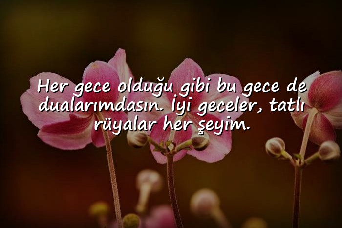 resimli sevgiliye iyi geceler mesajı - 1