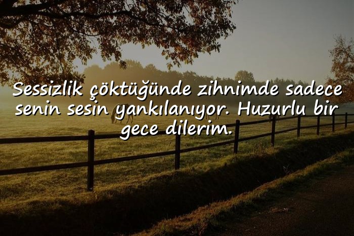 resimli sevgiliye iyi geceler mesajları - 24