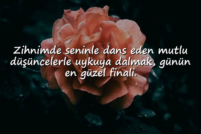 resimli sevgiliye iyi geceler mesajları - 19