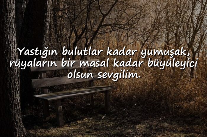 resimli sevgiliye iyi geceler mesajları - 14
