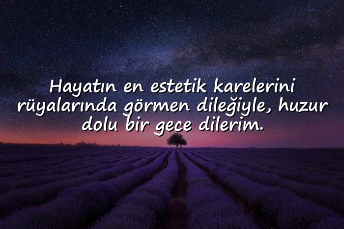 resimli sevgiliye iyi geceler mesajları - 9