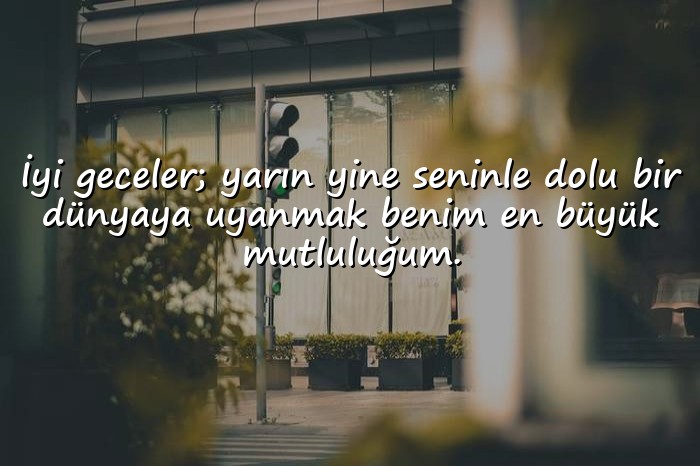 resimli sevgiliye iyi geceler mesajları - 1