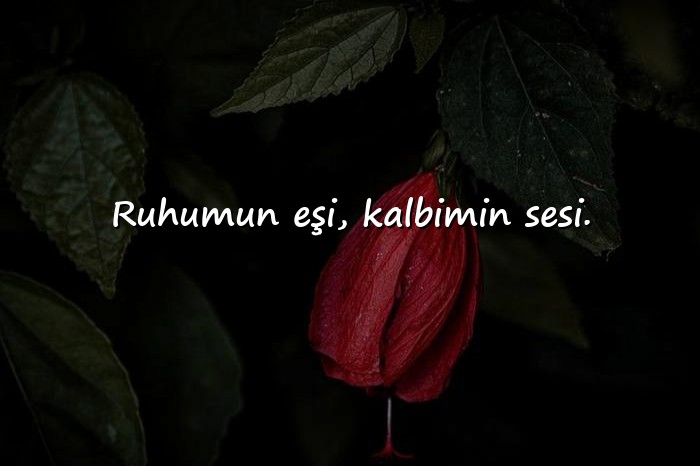 resimli sevgiliye kısa sözler - 21