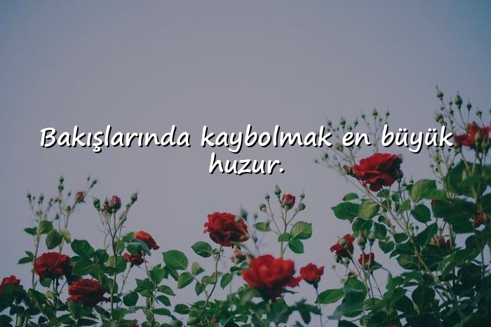 resimli sevgiliye kısa sözler - 16