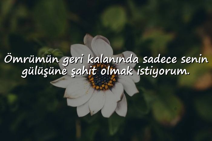resimli sevgiliye ömürlük sözler kısa - 21