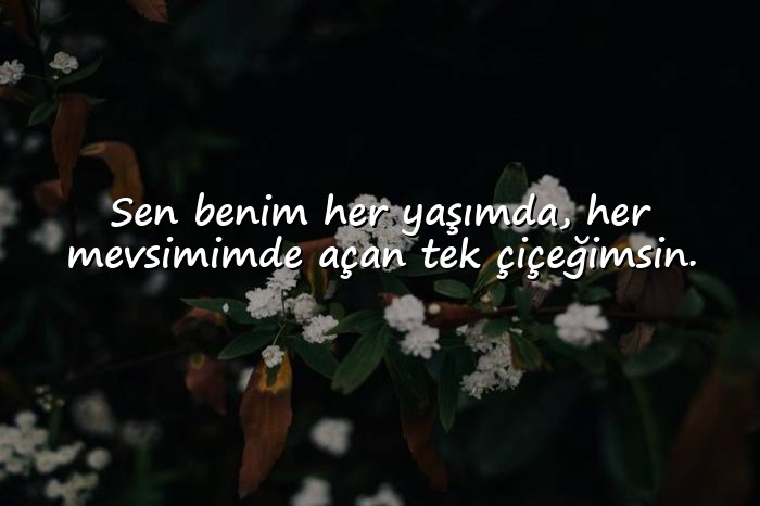 resimli sevgiliye ömürlük sözler kısa - 16