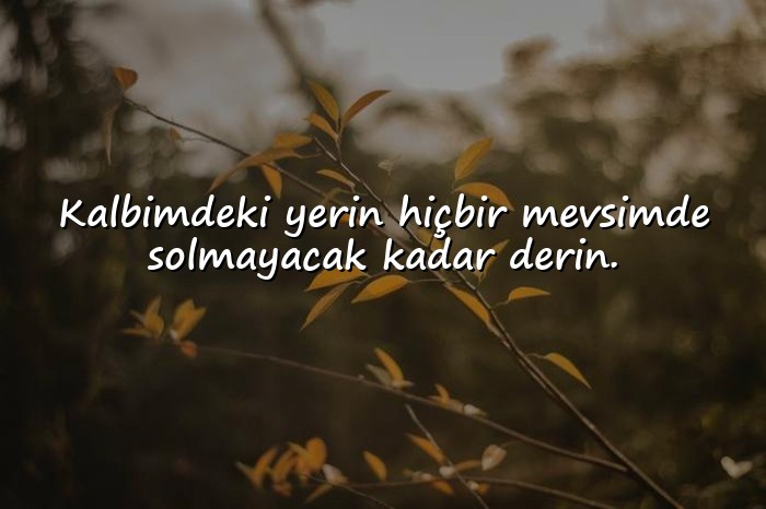 resimli sevgiliye ömürlük sözler kısa - 6