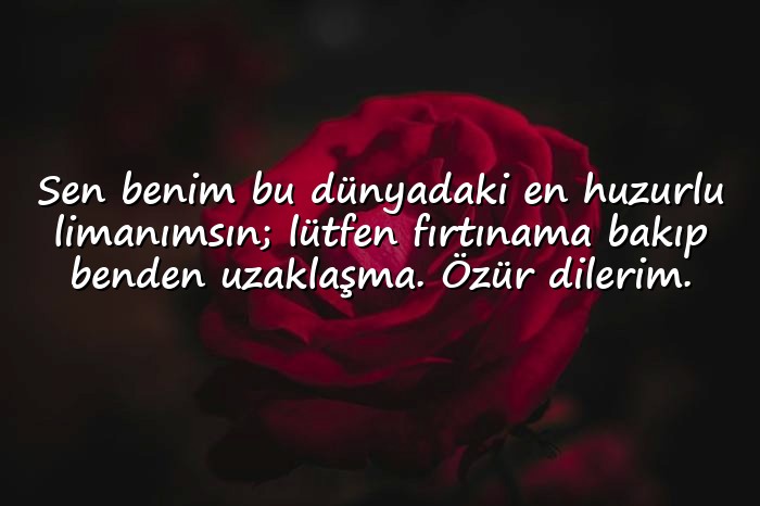 resimli sevgiliye özür mesajı - 1