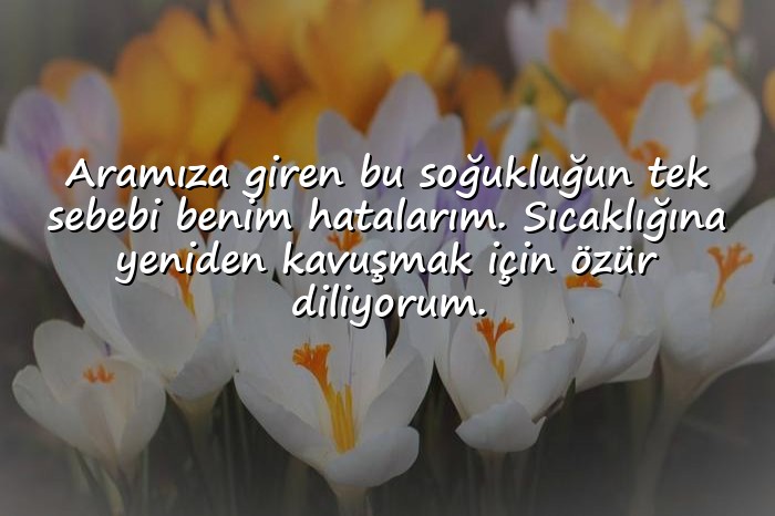 resimli sevgiliye özür mesajı - 21
