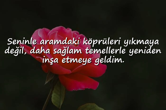 resimli sevgiliye özür mesajı - 6