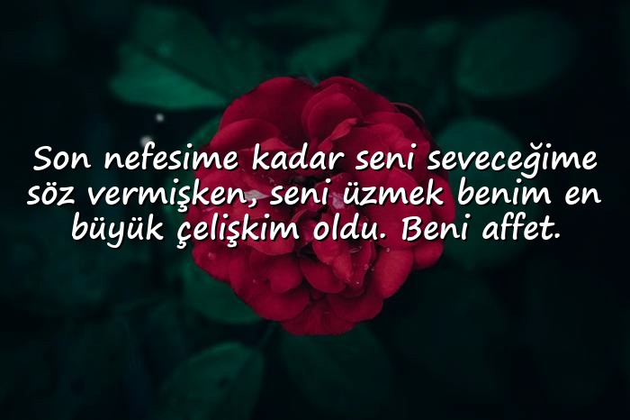 resimli sevgiliye özür mesajı - 1