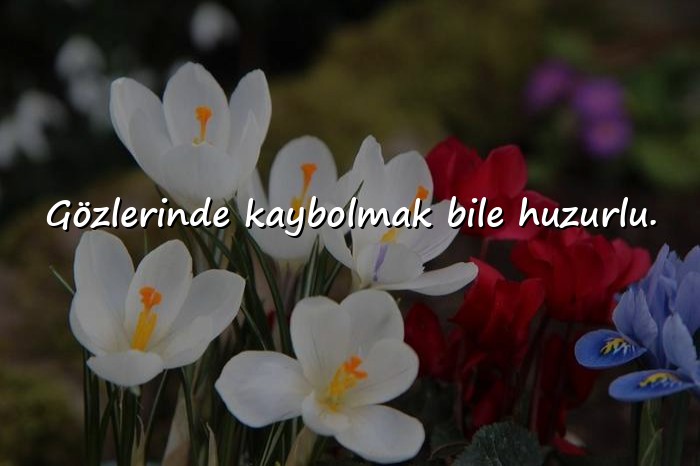 resimli sevgiliye romantik mesajlar - 16