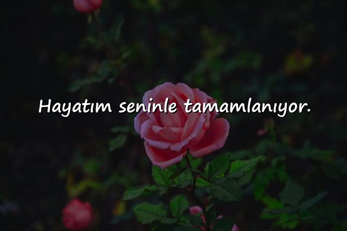 resimli sevgiliye söylenecek güzel sözler - 12