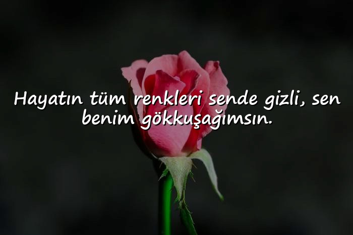 resimli sevgiliye yazılacak sözler - 16