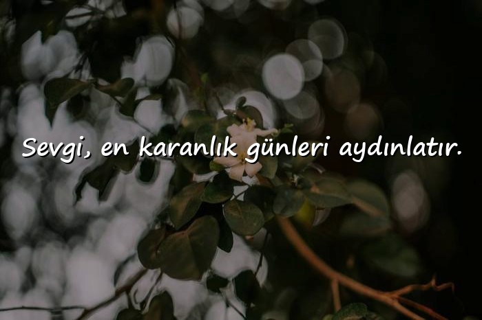 resimli sevmek ile ilgili sözler - 7
