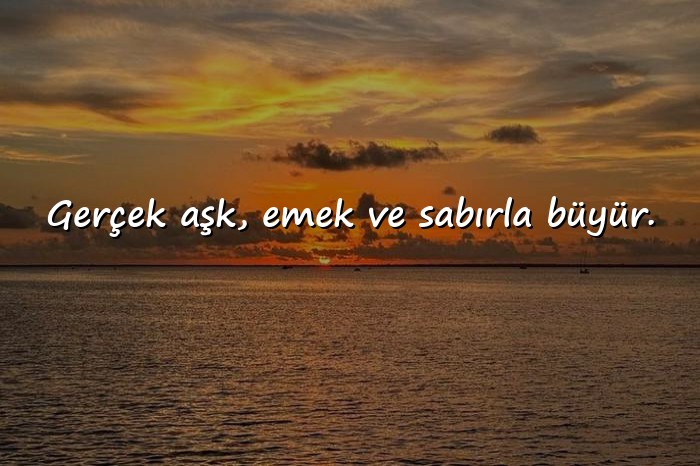 resimli sevmek ile ilgili sözler - 2