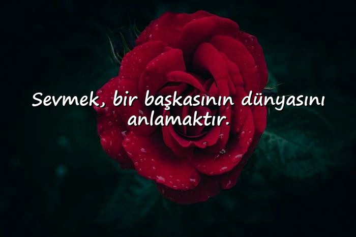 resimli sevmek ile ilgili sözler - 17