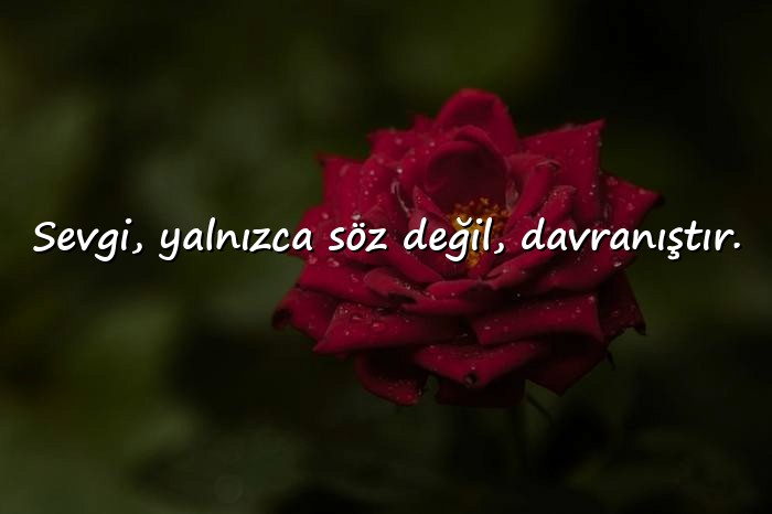 resimli sevmek ile ilgili sözler - 12