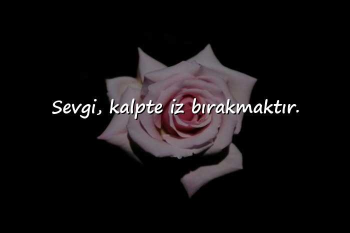 resimli sevmek ile ilgili sözler - 2