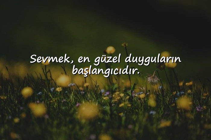 resimli sevmek ile ilgili sözler - 1
