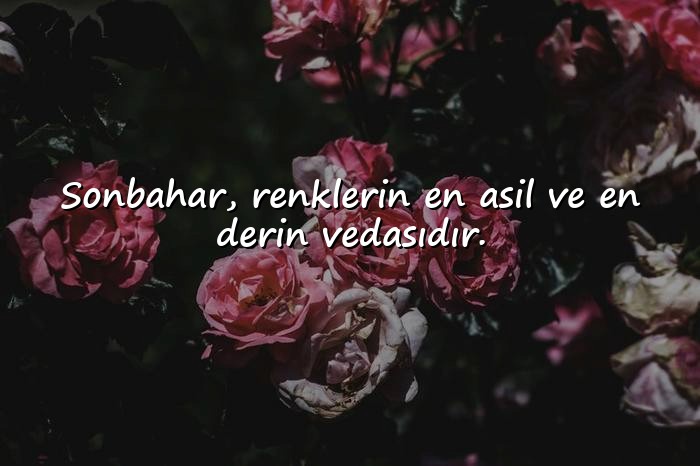 resimli sonbahar sözleri - 1