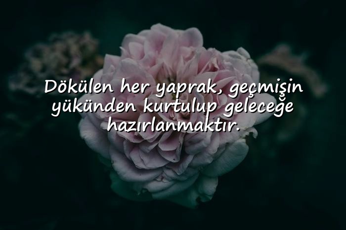 resimli sonbahar sözleri - 21