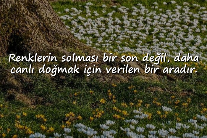 resimli sonbahar sözleri - 6