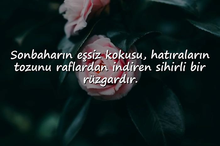 resimli sonbahar sözleri - 1