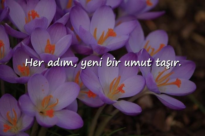 resimli umut ile ilgili sözler - 20