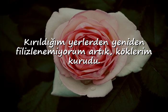 resimli üzgün sözler - 16