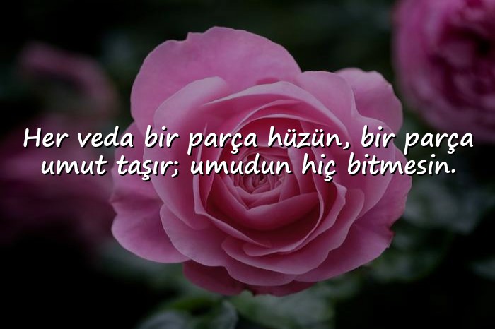 resimli veda sözleri - 21