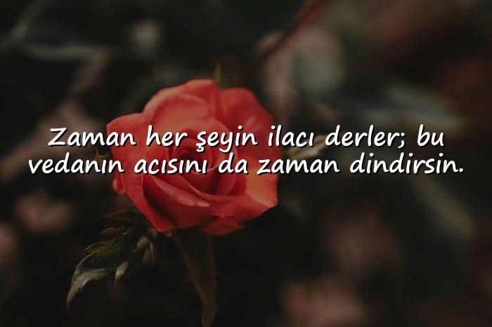 resimli veda sözleri - 11
